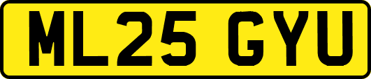 ML25GYU