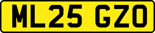 ML25GZO