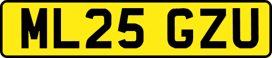 ML25GZU