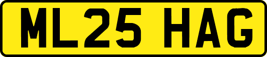 ML25HAG