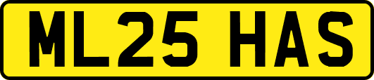 ML25HAS