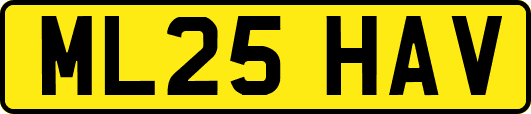 ML25HAV