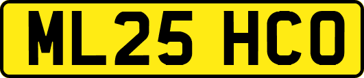 ML25HCO