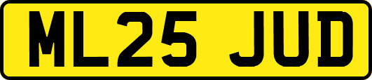 ML25JUD