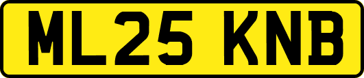 ML25KNB