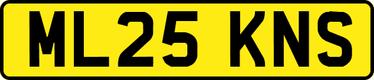 ML25KNS