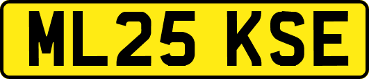 ML25KSE