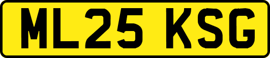 ML25KSG