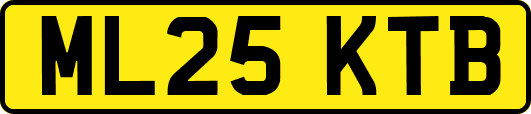 ML25KTB