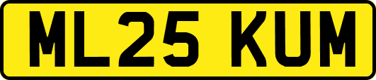 ML25KUM