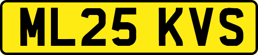 ML25KVS