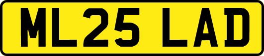 ML25LAD