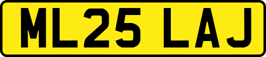 ML25LAJ