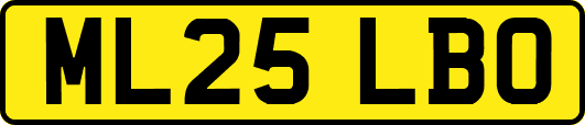 ML25LBO