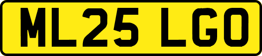 ML25LGO