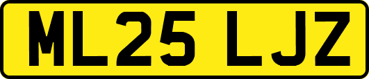 ML25LJZ
