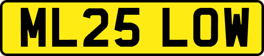 ML25LOW