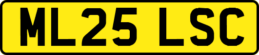 ML25LSC