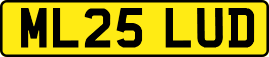 ML25LUD