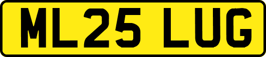 ML25LUG