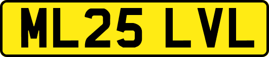 ML25LVL
