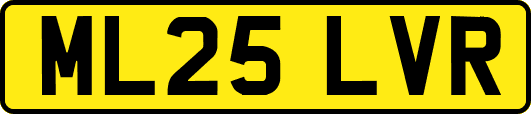 ML25LVR