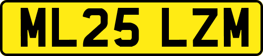 ML25LZM