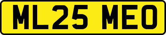 ML25MEO