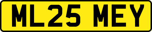 ML25MEY