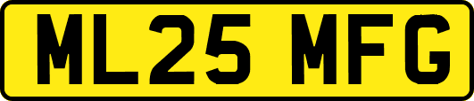 ML25MFG