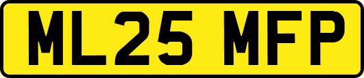 ML25MFP