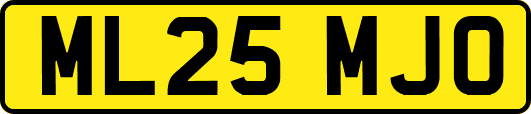 ML25MJO