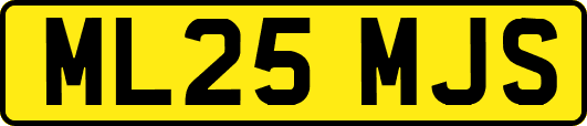 ML25MJS