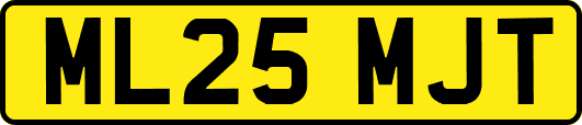 ML25MJT
