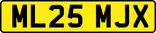 ML25MJX