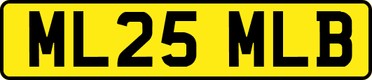 ML25MLB