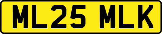 ML25MLK