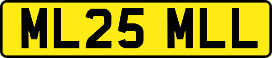 ML25MLL