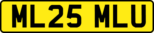 ML25MLU