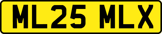 ML25MLX