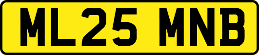ML25MNB