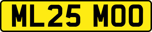 ML25MOO