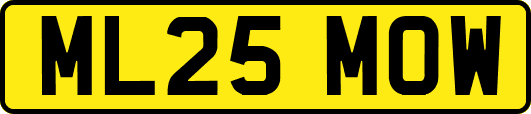 ML25MOW
