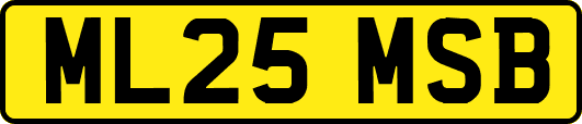 ML25MSB
