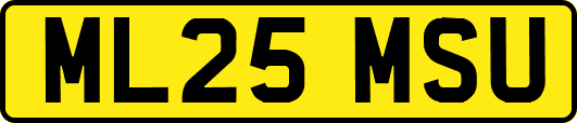 ML25MSU