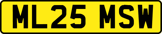 ML25MSW