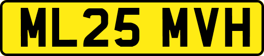 ML25MVH