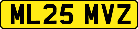 ML25MVZ