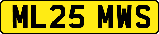 ML25MWS