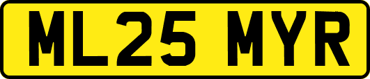 ML25MYR